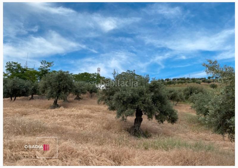 Foto ca736317-a569-4015-b461-ce971835a833. Propriété dans Monachil pueblo Monachil