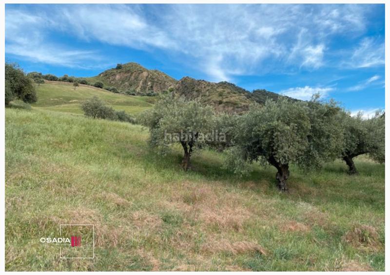 Foto dc2c4aca-a6bc-4af1-bd98-f5e8b5067fc9. Propriété dans Monachil pueblo Monachil