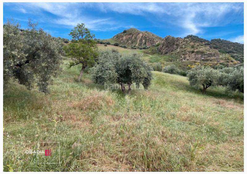 Foto e6b91824-42de-4d66-b9b6-e0e5984b6b89. Propriété dans Monachil pueblo Monachil