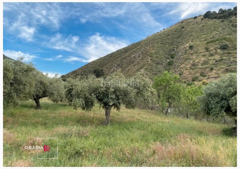 Foto f7573d6c-2163-4050-9800-db0ac841b468. Propriété dans Monachil pueblo Monachil