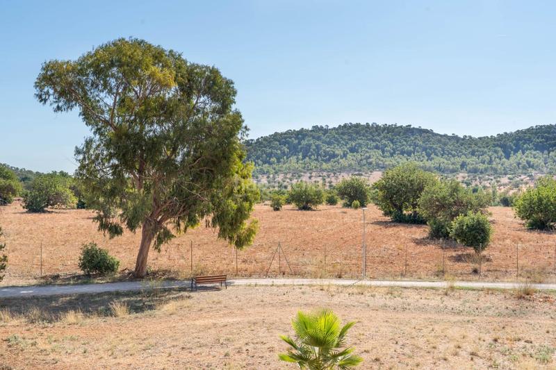 Foto b0e1dc11-a6d1-4cf0-8f69-9c8a31ac2fbf. Pis amb aparcament a Santa Ponça Calvià