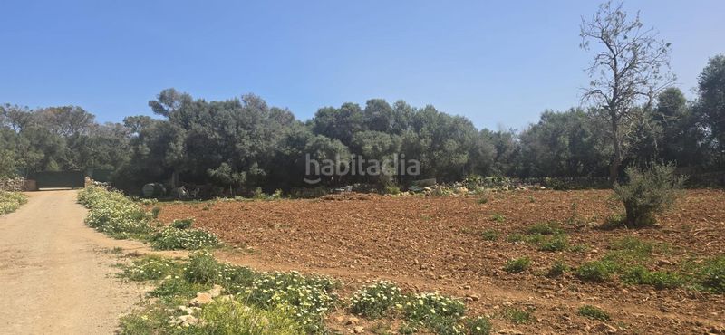 Foto a516d752-2661-4eb6-a7d9-d531508d3cbb. Masia amb aparcament piscina a S´Alquería Blanca - Calonge Santanyí