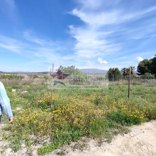 Foto 127014ac-8b95-4e5e-9d7e-2dd6ea92849d. Bauernhof mit heizung in Pinoso