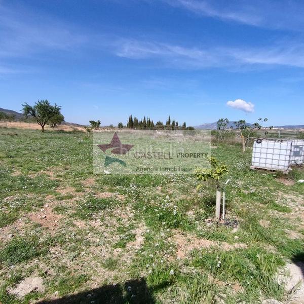 Foto 360d69ab-3bc3-4364-89ba-e72d49388889. Bauernhof mit heizung in Pinoso