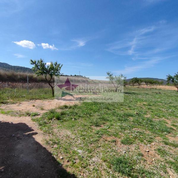 Foto 4f3f91f3-38b1-4b8e-b580-0bfaa58a07dd. Bauernhof mit heizung in Pinoso