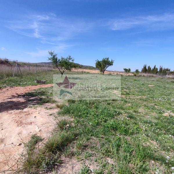 Foto 5ca4e5c4-cb22-457b-b016-409cfefa8c28. Bauernhof mit heizung in Pinoso