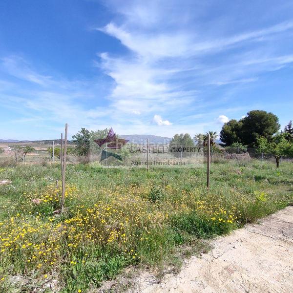 Foto 79c56f31-49de-4a34-bec0-bd8a8639d2c1. Bauernhof mit heizung in Pinoso