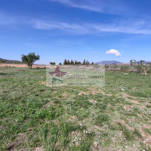 Foto c03e37e5-7d04-46f3-8958-b5b5831c816e. Bauernhof mit heizung in Pinoso