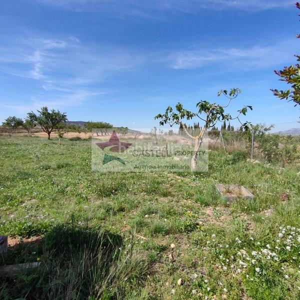 Foto d13d8b55-e7ff-44ec-a4a9-b1842f79eaec. Bauernhof mit heizung in Pinoso