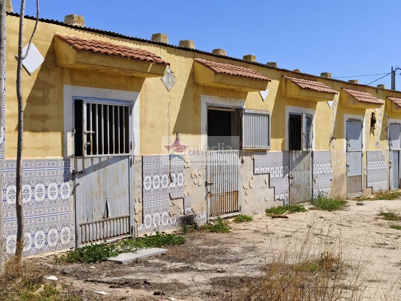 Foto 0b34fc2c-5f3a-4904-986b-db7c2b6952e5. Masia a Campo Alto-Club de Campo Elda