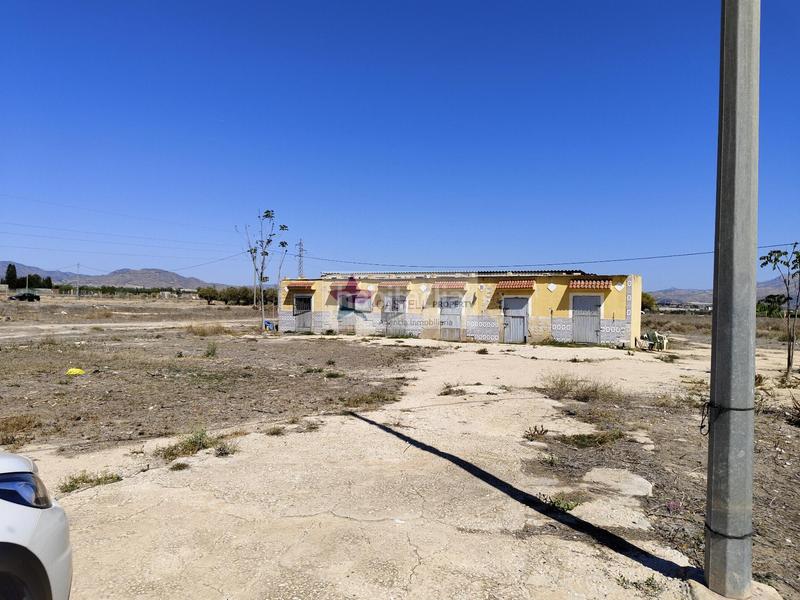 Foto 0f85d311-1802-4ff7-87e7-8ae866de3016. Masia a Campo Alto-Club de Campo Elda