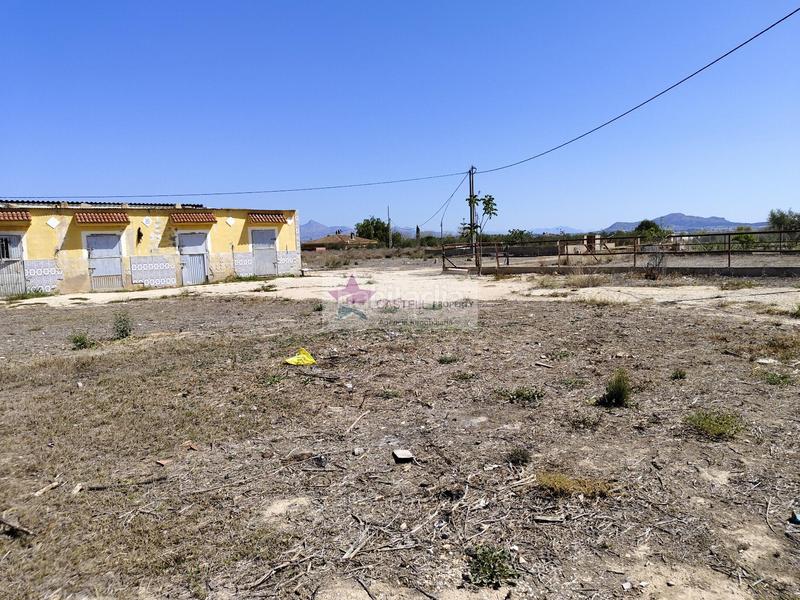 Foto 3143ba67-973c-499a-bfc7-15f9f7a69594. Masia a Campo Alto-Club de Campo Elda
