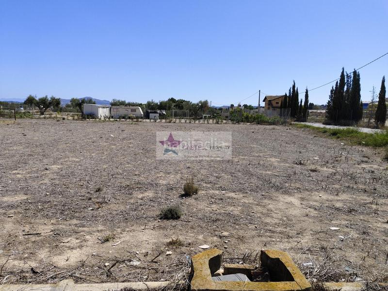 Foto b29fc457-1dea-4f06-9fe9-14258cb29fcb. Masia a Campo Alto-Club de Campo Elda