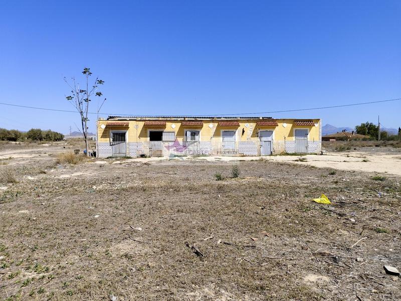 Foto e39c0bb5-b251-4cab-97ac-d3945bc422e5. Masia a Campo Alto-Club de Campo Elda