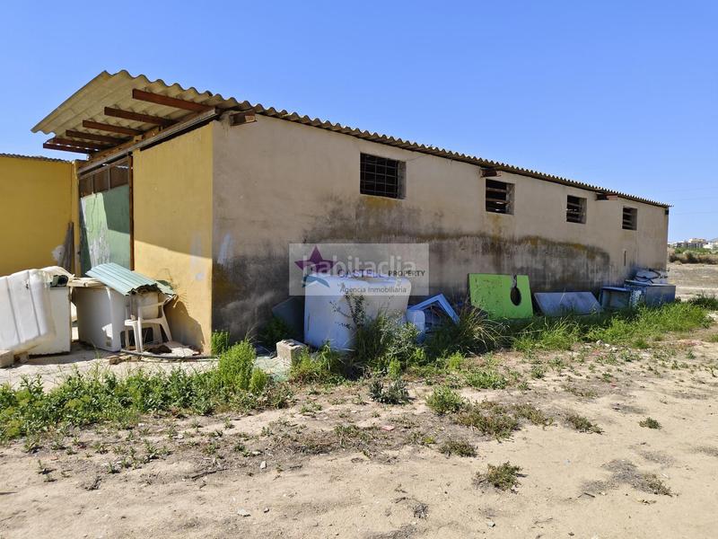 Foto ed9f6e14-0bea-4588-935e-c279cc96433a. Masia a Campo Alto-Club de Campo Elda
