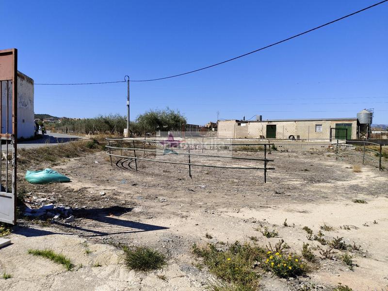 Foto f596d2c4-5940-4365-a751-892142c682c0. Masia a Campo Alto-Club de Campo Elda