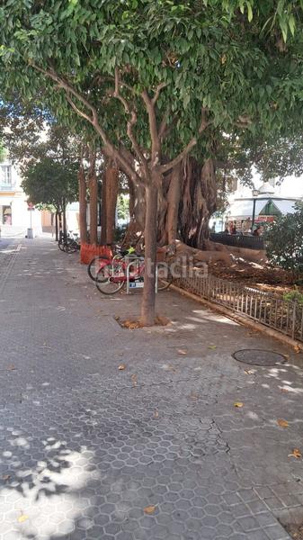 Foto 0f2d8bf7-374f-41f5-8d15-575df5fcd01d. Miete etagenwohnung mit heizung in Arenal - Museo Sevilla