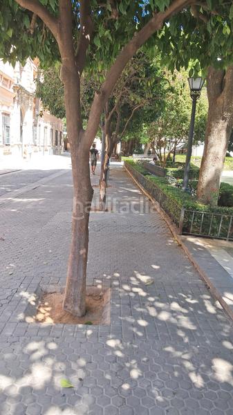 Foto 87121019-fef4-481d-a73d-cea190047f58. Miete etagenwohnung mit heizung in Arenal - Museo Sevilla