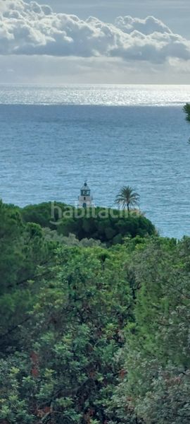 Foto 5db2f68e-2ffa-482d-ac43-f70474d5d122. Pis a Calella