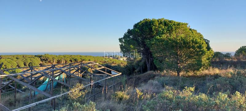 Foto b1d853df-e963-4b76-900e-4a2b6da08a59. Fondo rustico in Calella