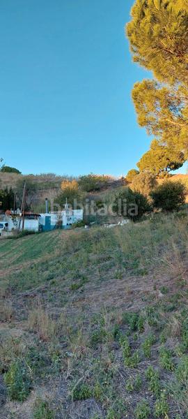 Foto b77c9026-de09-43d9-9177-d31fbad05b6d. Fondo rustico in Calella