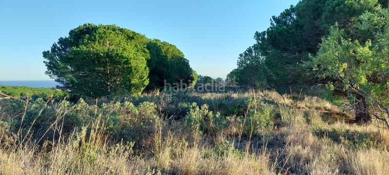 Foto f1b5f8ba-a793-4eb2-9428-d00936ca54cd. Fondo rustico in Calella