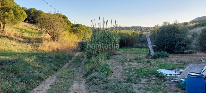 Foto f72c8c7c-6ab6-41a2-88d0-63ac8bf6c45f. Fondo rustico in Calella