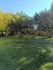 Pis a Torremayor. Barbañopiso