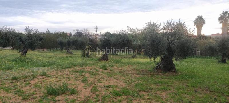 Foto 9036ec69-8cad-41d4-8ab5-43cdf0ead344. Terreno residencial terreno en Don Álvaro