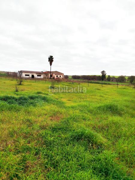 Foto 0cbbc481-f63d-453d-906d-b4b6a892f7c9. Nau industrial a Este Mérida