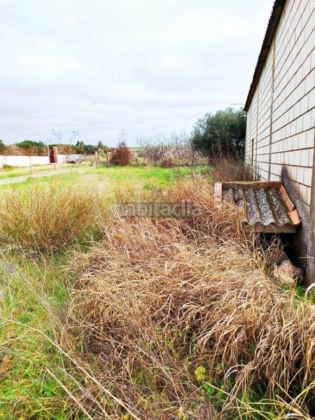 Foto 78ddaaac-fc2a-477f-bc9a-590ef9ce9987. Nau industrial a Este Mérida