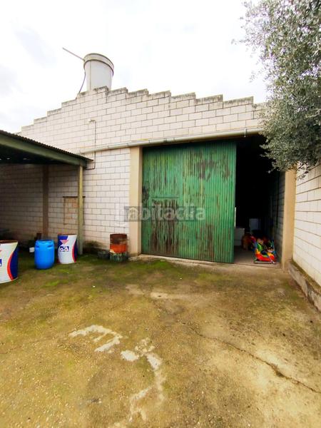 Foto 83fd3712-798d-4762-abd5-ec7e44635507. Nau industrial a Este Mérida