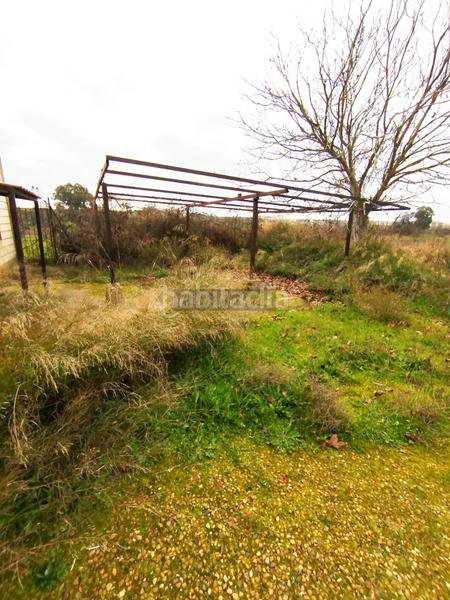 Foto cb1a4f25-c5cb-454b-a6c2-ff67c60b0ac6. Nau industrial a Este Mérida