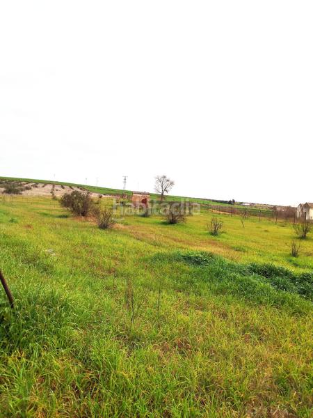 Foto d449f33c-9700-446c-a077-1215e5524374. Nau industrial a Este Mérida