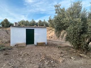 Finca rústica en N/a. Finca en venta