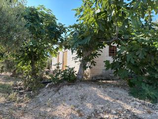 Finca rústica a Calle atalayuela 9. Finca en venta