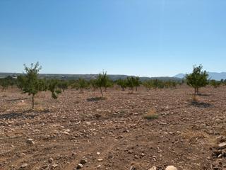 Finca rústica en Calle a 1. Finca en venta
