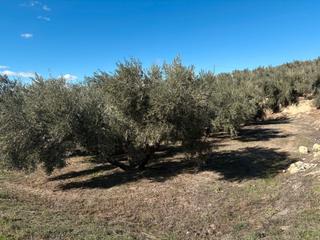 Landgut in A-315 38. Finca en venta