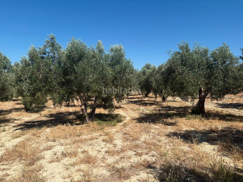 Foto e0d57856-151b-4115-a638-f68c890bba25. Finca rústica a n/a a Hinojares