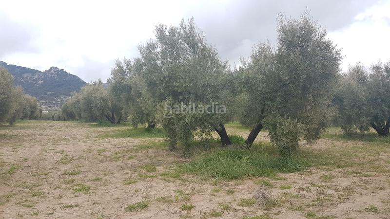 Foto 10405fa0-0e17-4806-ac7f-0d2e82eee3ec. Propriété dans a-6206 45 dans Pozo Alcón