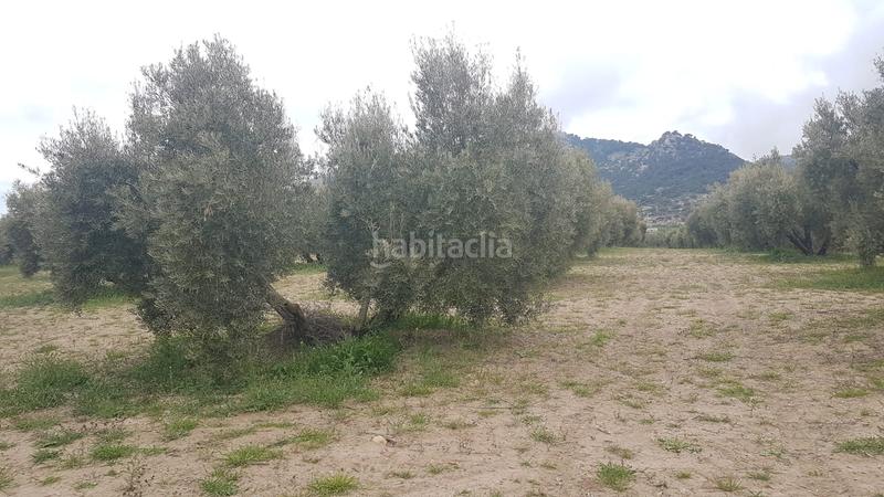 Foto 589690c3-445c-4045-8f87-6df3e3aa7759. Propriété dans a-6206 45 dans Pozo Alcón