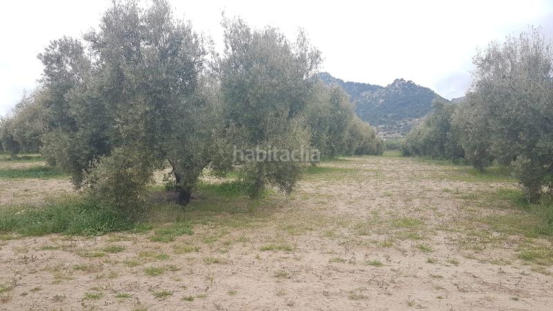 Foto a91e96fe-eb70-47dd-a418-330adddea6e9. Propriété dans a-6206 45 dans Pozo Alcón