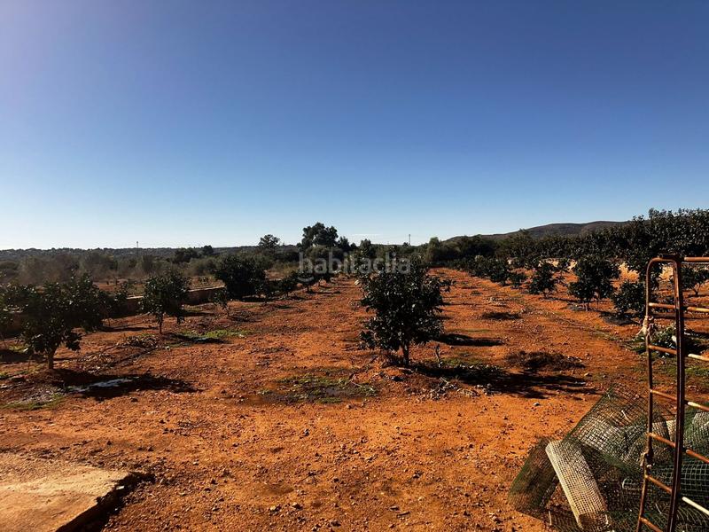 Foto 1aef197e-44da-4322-940d-524bf3552c09. Casale con riscaldamento in Urbanitzacions i Pedanies Nord Alzira