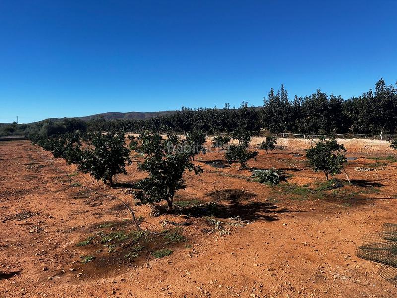 Foto 75087e35-7459-462d-ab19-91ca32b7ccbc. Casale con riscaldamento in Urbanitzacions i Pedanies Nord Alzira