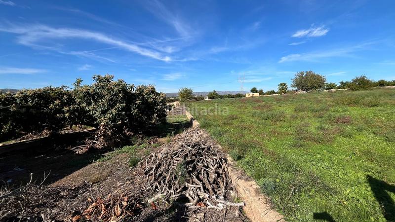 Foto 48eca6be-772b-4e6a-9f2d-09c5afbe13cd. Masia a Alberic