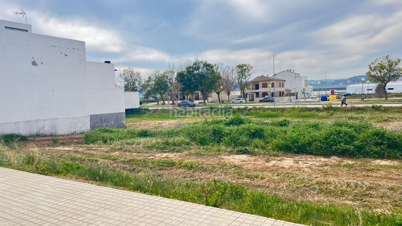 Foto 9d27b04c-8090-42ea-9e64-f35b70564443. Terreny residencial a camp de morvedre 7 a Alberic