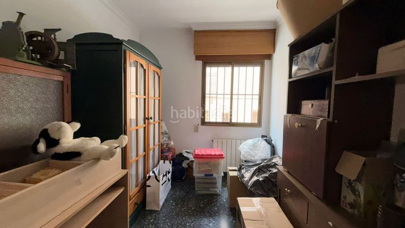 Foto c345ebd8-72a8-4614-b734-0e7d3a025dcf. Pis a Alberic