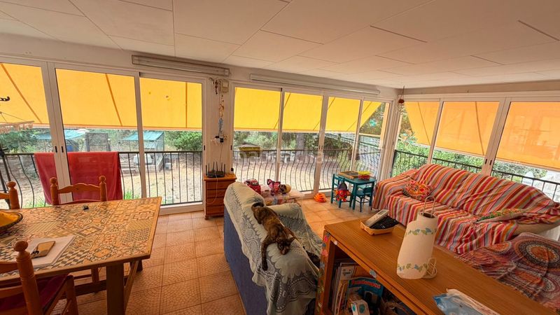 Foto e560b27d-eca2-441d-b761-89fbb939c5a3. Casa venta de chalet el vedat en Alberic