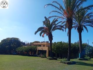 Casa  Carrer de baix. Casa de poble amb gran jardí amb palmeres, piscina interior clim