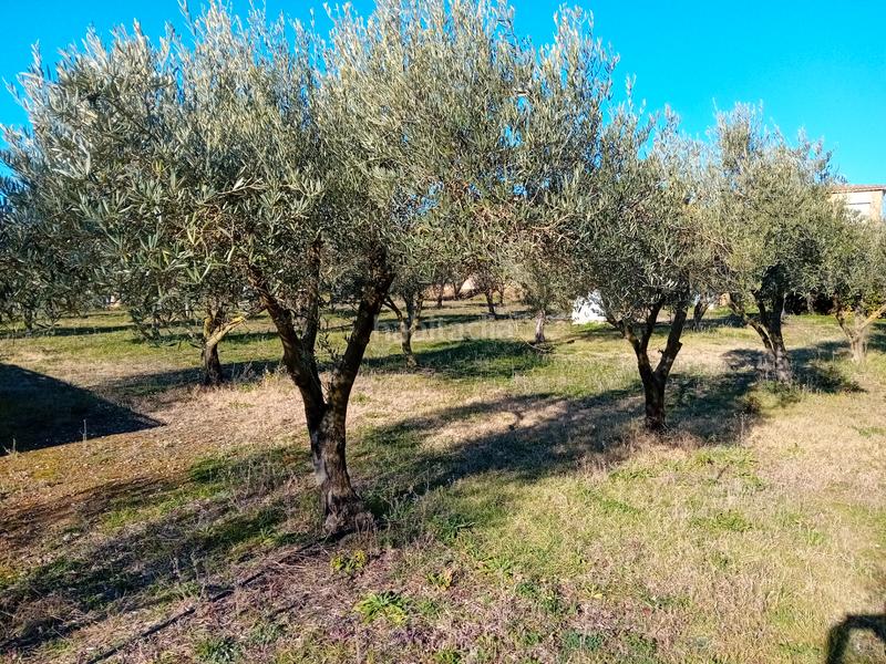 Foto 33e62a2f-ce0d-49c1-89b0-a0dd85f2b4e5. Fondo rustico in Llambilles